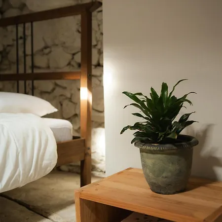 Pensión Traver De Besalú *