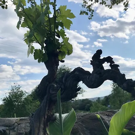 Traver De Besalú Pensión Maià de Montcal